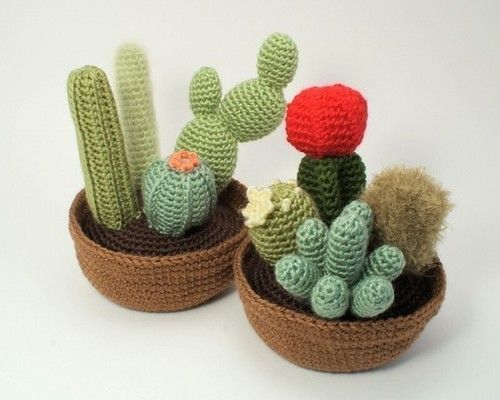 cactus en laine